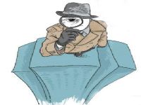 敖汉旗取证公司解说第三者承担离婚赔偿责任吗